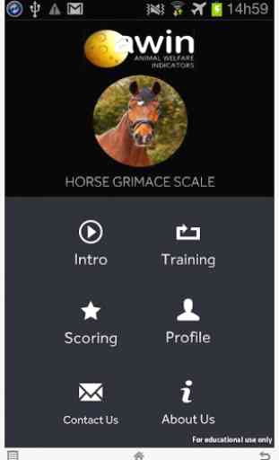 Horse Grimace Scale 1