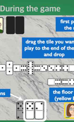 Partnership Dominoes 1
