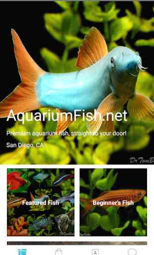 AquariumFish.net 1
