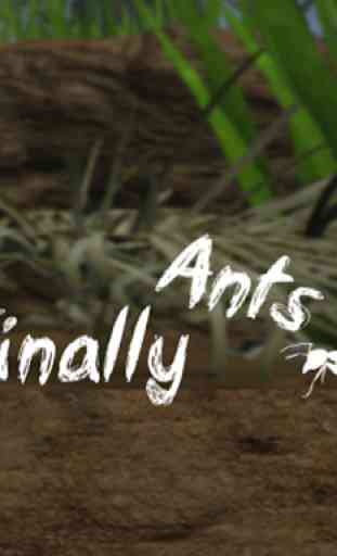 Finally Ants 1