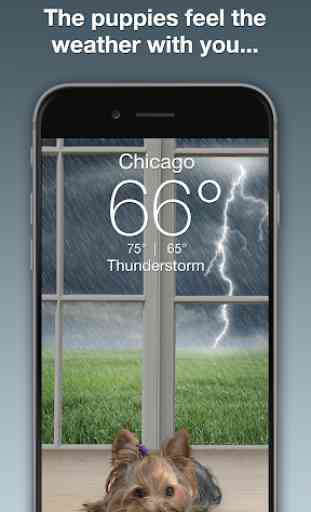 Weather Puppy: Real Time Weather Forecast & Radar 2