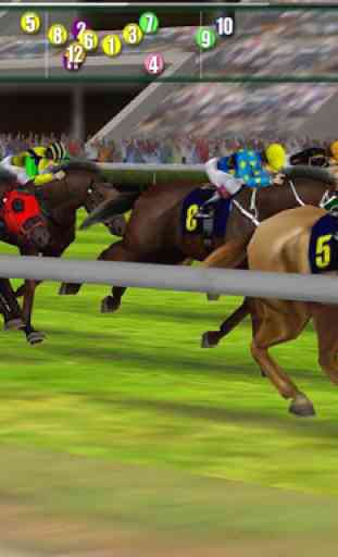 iHorse Betting: Scommesse di corse di cavalli 4