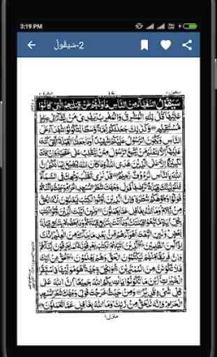 18 Line Hafizi Quran 3