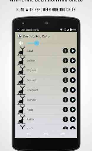 Chiamate Whitetail Deer 3