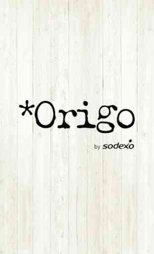*Origo by Sodexo – FRA 2