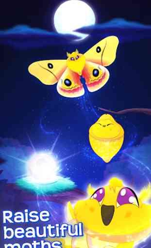 Flutter: Starlight Sanctuary 4
