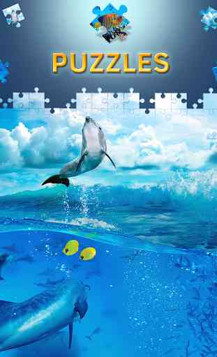 Free Dolphin Jigsaw Puzzles 3