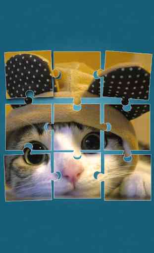 Gatti Carini Giochi di Puzzle 1