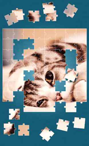 Gatti Carini Giochi di Puzzle 2