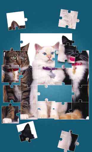 Gatti Carini Giochi di Puzzle 3