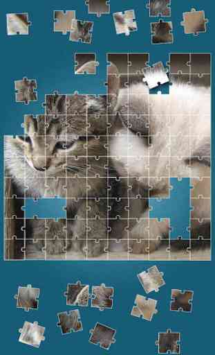 Gatti Carini Giochi di Puzzle 4