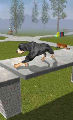 Rottweiler Dog Life Simulator 3