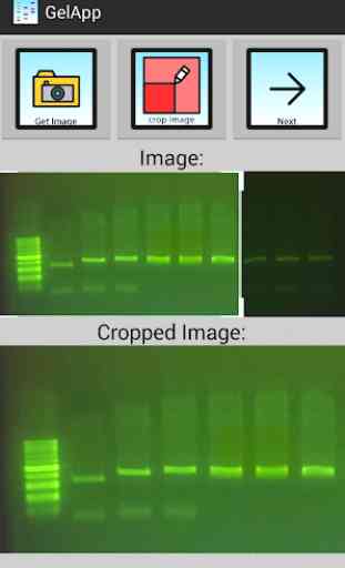 Gelapp: DNA&Prot Gel Analyzer 4