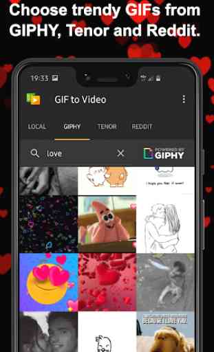GIF to Video 2