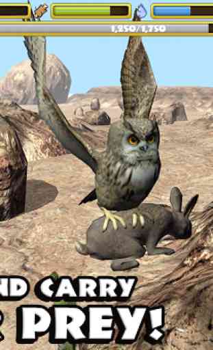 Owl Simulator 4