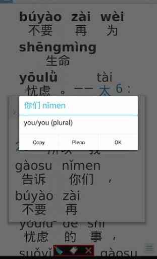 Pinyin Web & EPUB 2