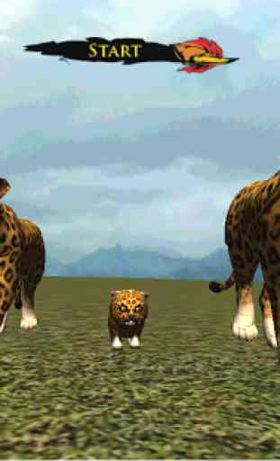 vero leopardo cub di Calcolo 1