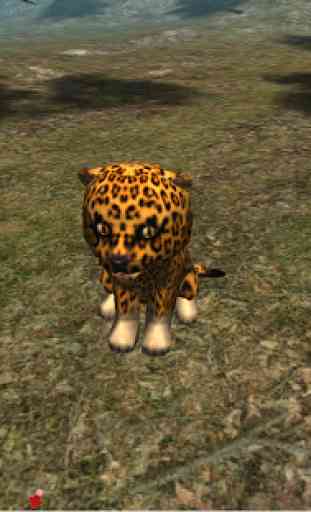 vero leopardo cub di Calcolo 3