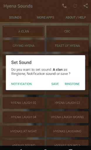Hyenas Sounds 2