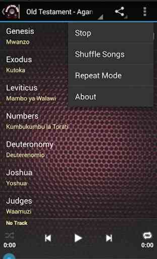 Swahili Audio Bible, Kiswahili 4