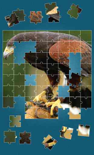 Uccelli Giochi di Puzzle 1