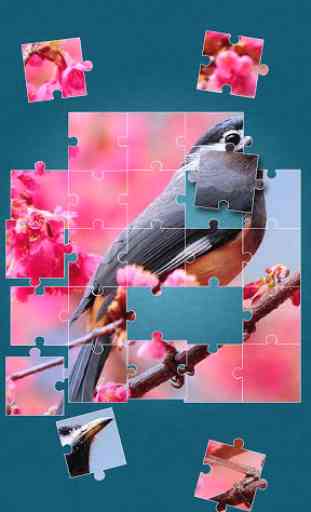 Uccelli Giochi di Puzzle 2