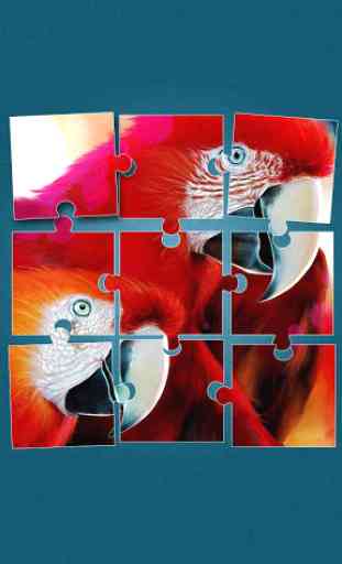 Uccelli Giochi di Puzzle 4