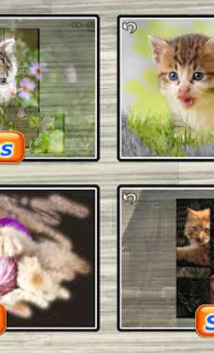 Cats & Kitten Puzzle Games ❤️ 2