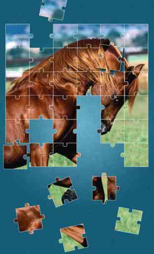 Cavalli Giochi Di Puzzle 1