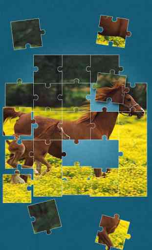 Cavalli Giochi Di Puzzle 4