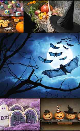 Gioco di Halloween - Puzzle per bambini e adult  1