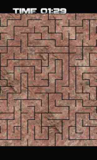 Labyrinth hard free 3