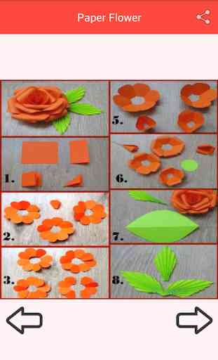 Paper Flower Craft 4