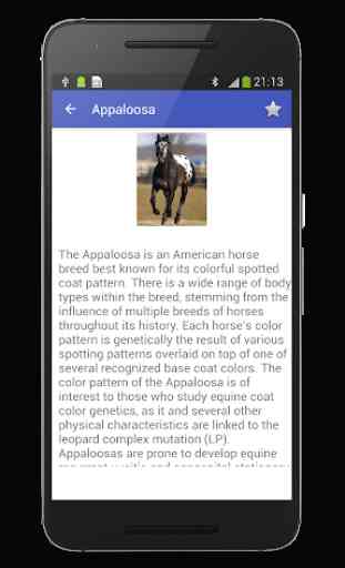 Horse Breeds Database 2