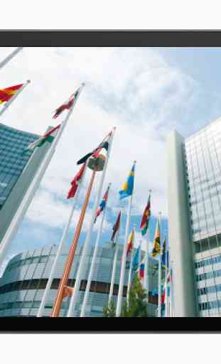 IAEA Conferences and Meetings 4