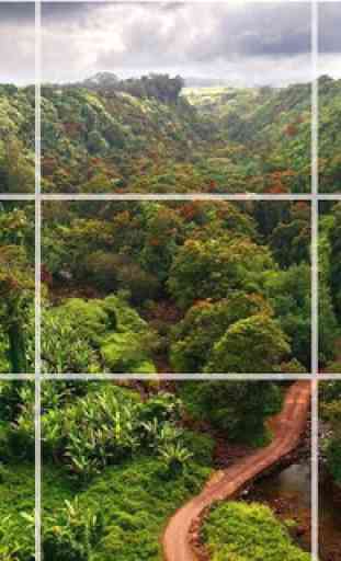Puzzle - foresta natura 3