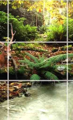 Puzzle - foresta natura 4