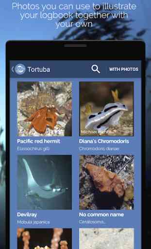 Tortuba: Logbook & Fish Guide 3
