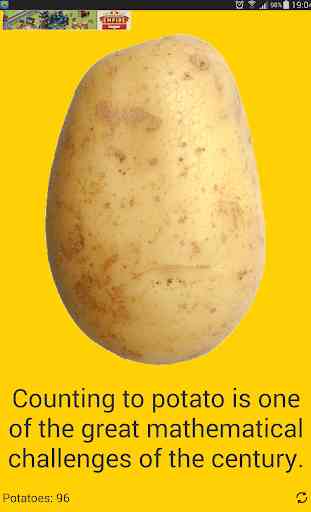 Potato 4