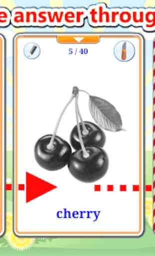 Fruits Cards (Learn Languages) 4