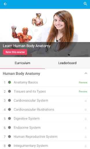 Human Body Anatomy 2