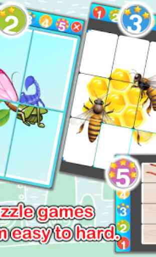 Insects Cards (Learn Languages) 2