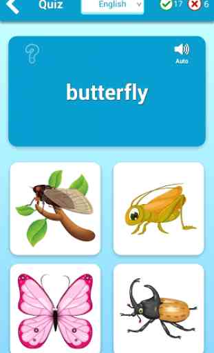 Insects Cards (Learn Languages) 3