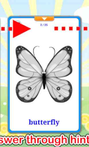 Insects Cards (Learn Languages) 4