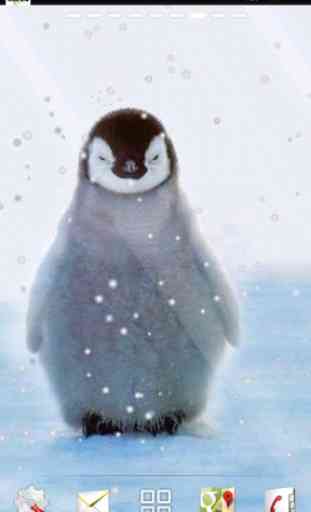 simpatico pinguino lwp 4