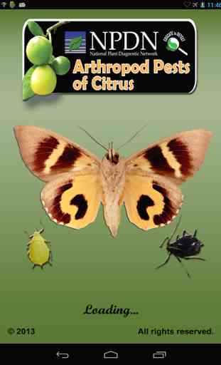 NPDN Citrus Pests 4