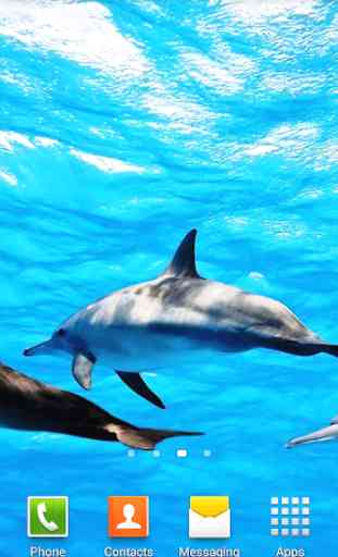 Delfini Sfondi Animati 1