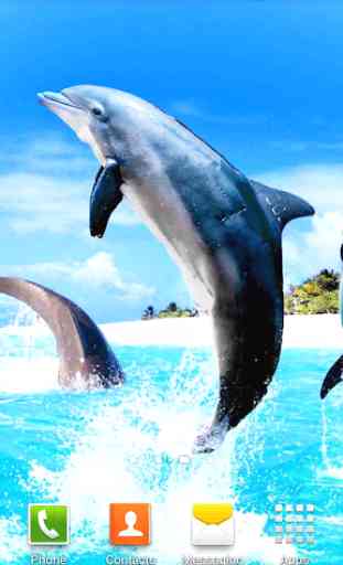Delfini Sfondi Animati 3