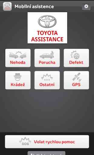 Eurocare Toyota Assistance 1