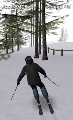 Alpine Ski III 1